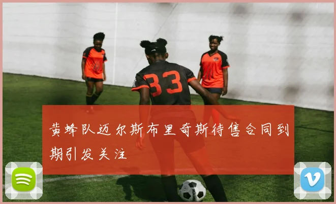 黄蜂队迈尔斯布里奇斯待售合同到期引发关注